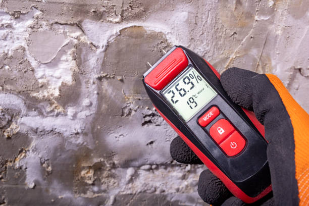 Best Mold Removal Company Near Me  in Belleair Beach, FL